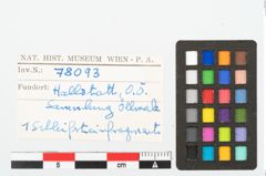 Foto von Schleifstein (NHMW-PRAE-078093)